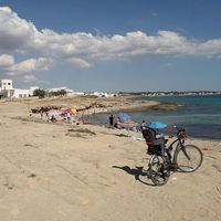 Ritratto di Giuliano1957